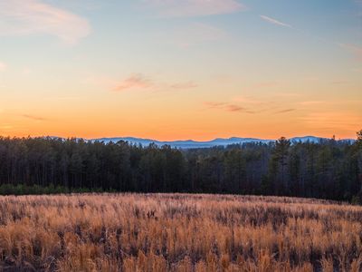 Secretarys Rd, Scottsville, VA, 24590