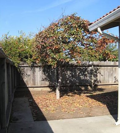 Enclosed Back Yard