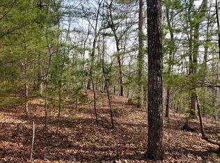 98 Syrup Mill Branch Rd #A, Morganton, GA 30560