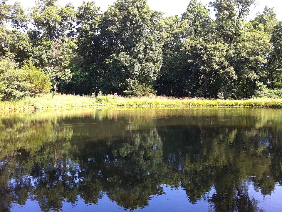 Pond