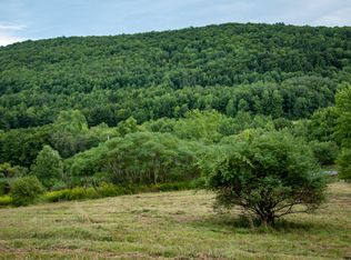 Sawyer Hollow Rd, Fulton, NY 12175