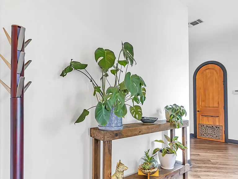 411 Cielo Cir — Photo 38