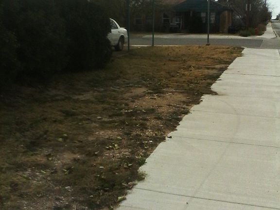 3rd image of 411 W Rainbow Dr
