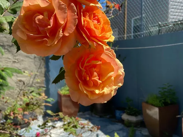 2913 Gransback St, Philadelphia, PA 19134