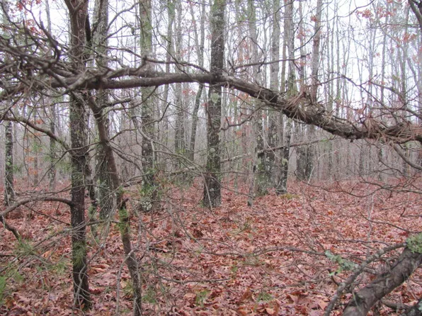 216 Malvern Dr, Crossville, TN 38558