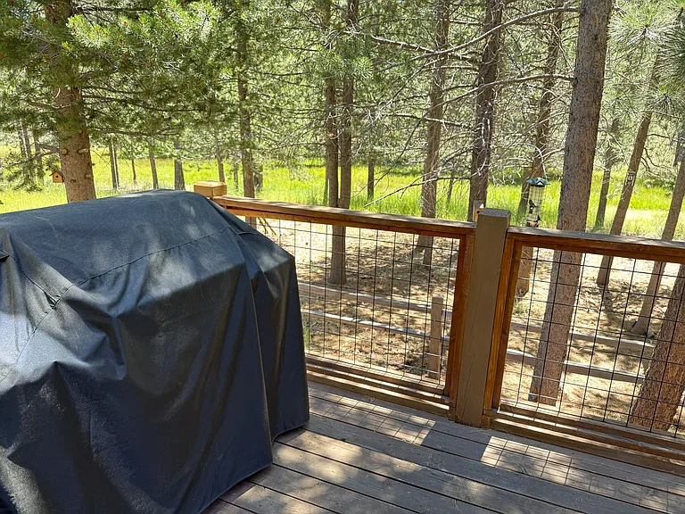 11356 Wolverine Cir — Photo 6