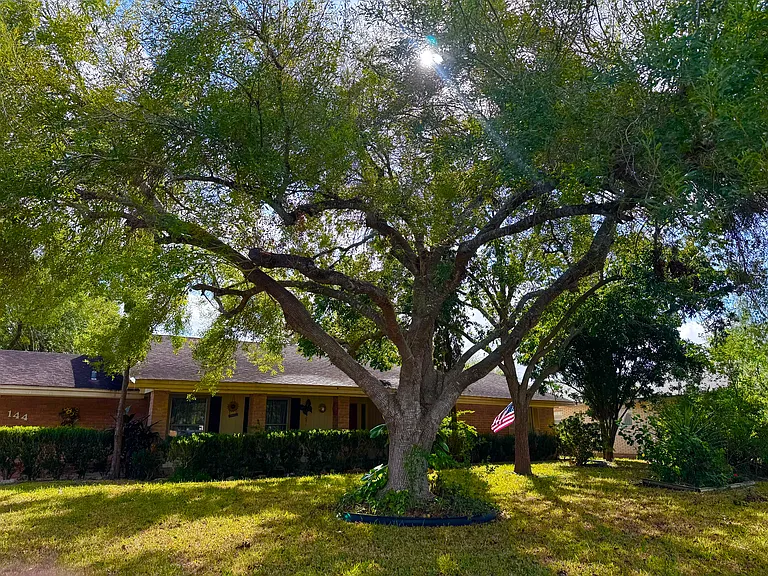 Palo Verde Dr — Photo 10