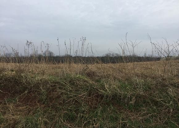1st image of Cherry Ln