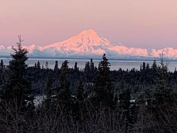28445 Old Setnetter Dr, Kasilof, AK 99610