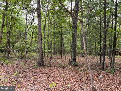 6 Hickory Loop, Hedgesville, WV, 25427