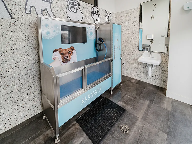 Dog Wash Station