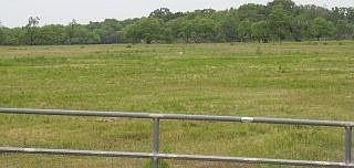 1st image of 4531 Hwy 90a