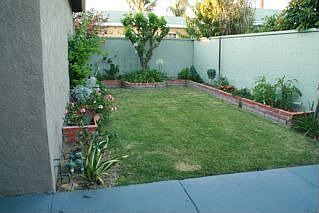 back yard