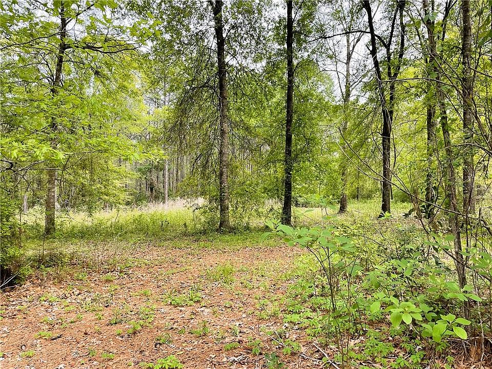 2nd image of 0 Libuse Cutoff Rd