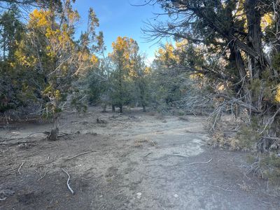 Slide Canyon Rd, Kanab, UT, 84741