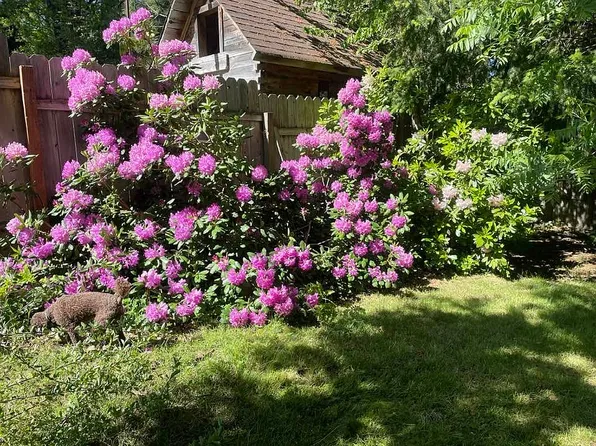 509 Sarah Bell St, Mount Shasta, CA 96067