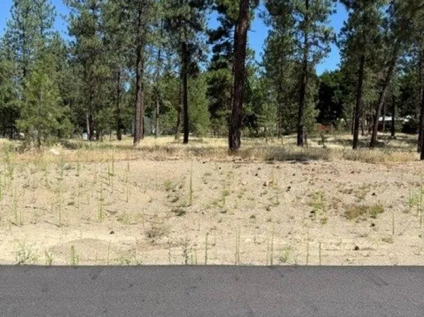 LOT 13 Long Lake Estates Est, Nine Mile Falls, WA 99026