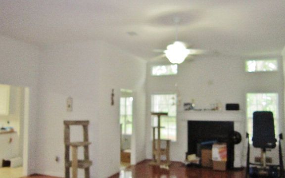 3rd image of 3333 Britain Dr