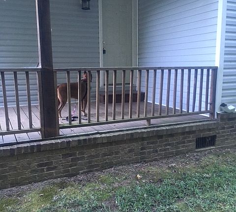 4th image of 115 Asbury Dr