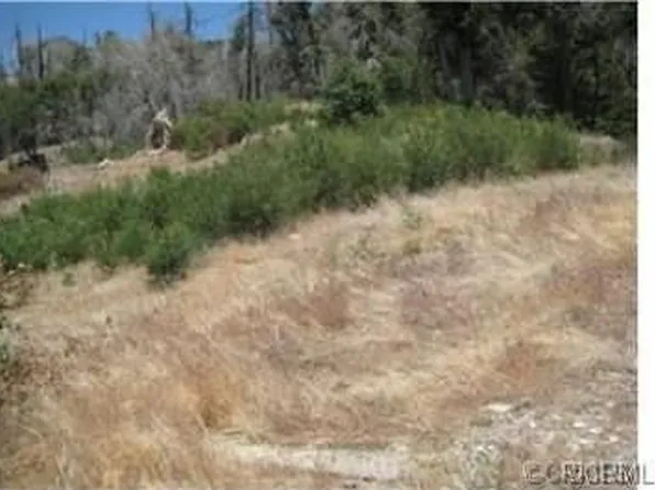 197 Jasper St, Cedar Glen, CA 92321