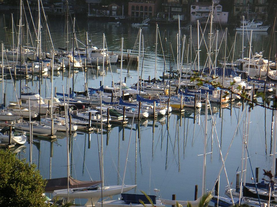 View from Master Bedroom