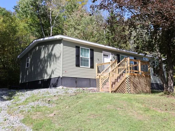 317 Debruce Rd, Livingston Manor, NY 12758