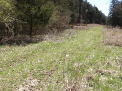 6 Baugh Hollow Ln, Gainesboro, TN, 38562