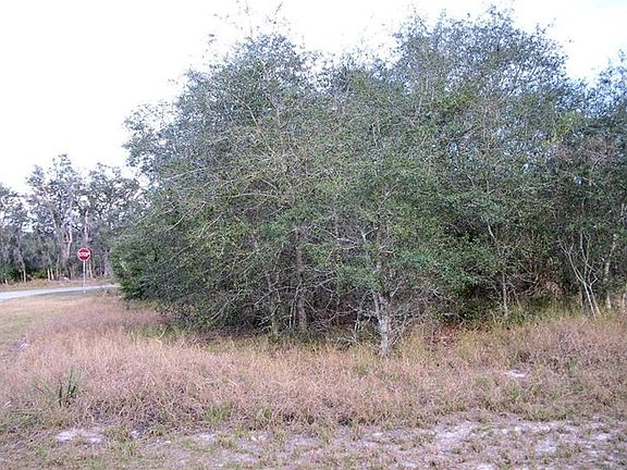 2nd image of 443 Churchill Ct