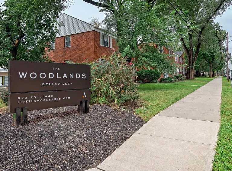 The Woodlands — Photo 11