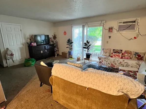 1141 S Buchanan St APT 1, Wilmington, IL 60481