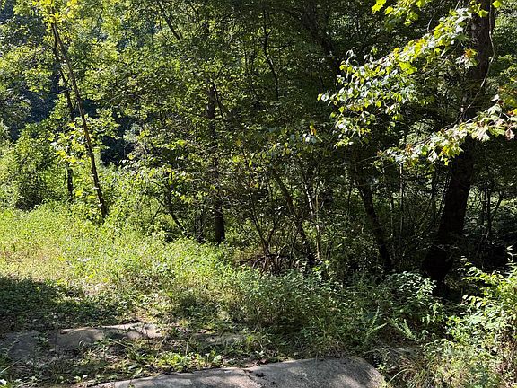 4th image of 370 Roaring Fork Rd
