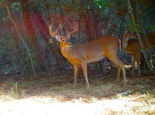 County Road 112, Devers, TX 77538
