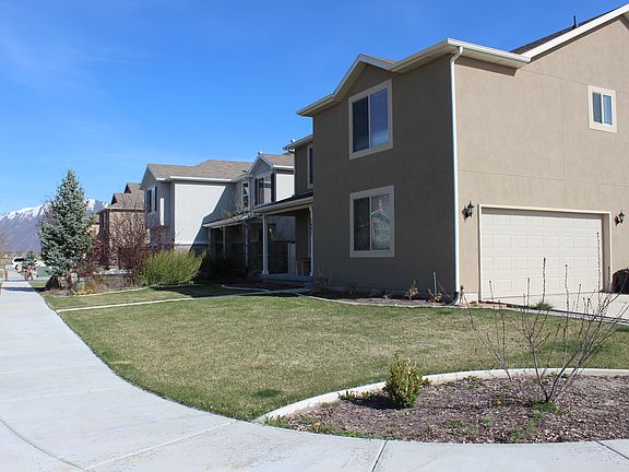 Easy to maintain landscaping