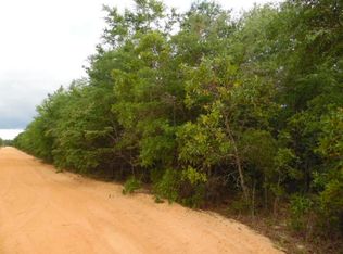 20 W Picasso Cir, Defuniak Springs, FL 32433