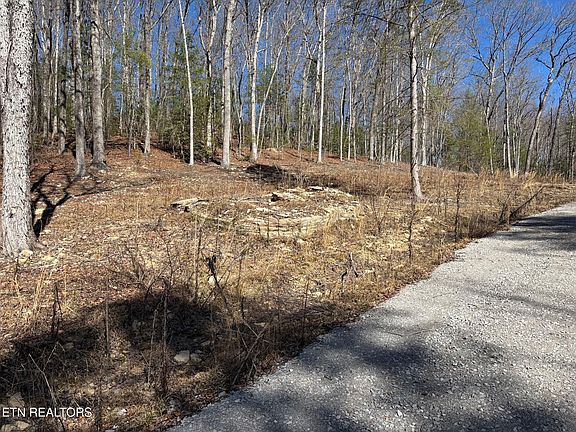 4th image of 16305 Highway 70 E