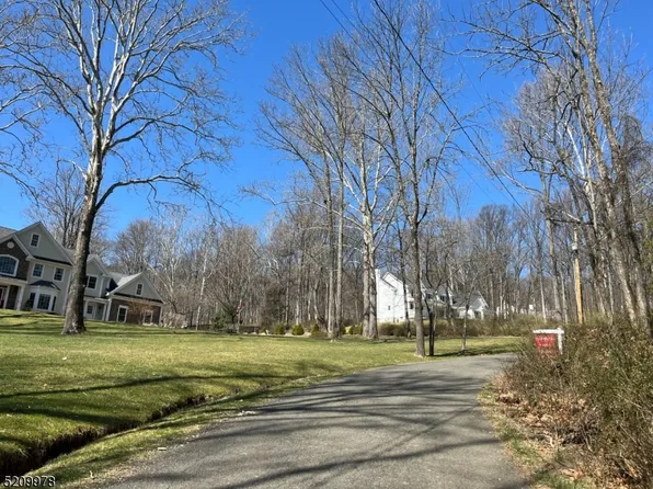 86-1 Douglass Ave, Bernardsville Boro, NJ 07924