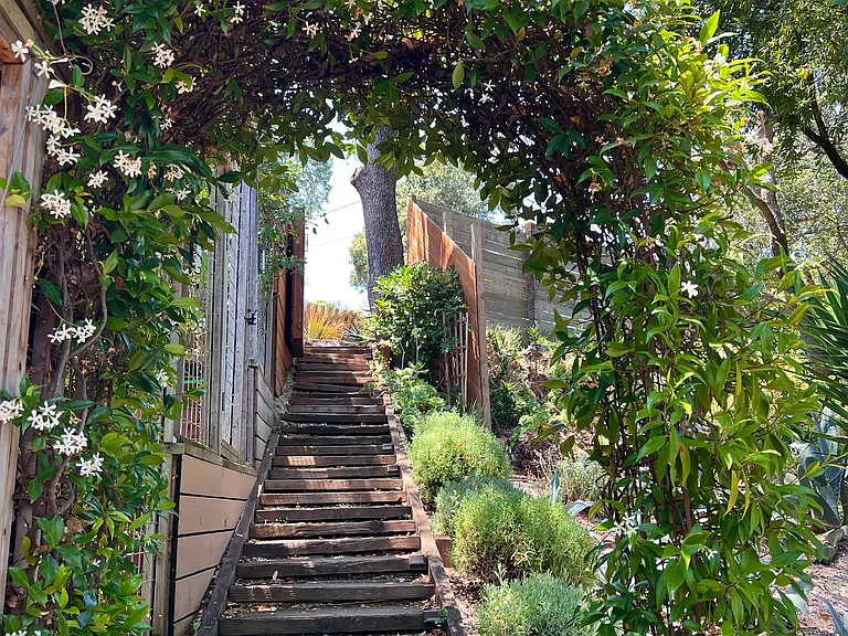 Sideyard