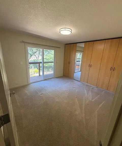 17295 Holiday Dr — Photo 19