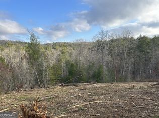LOT 37 Blue Creek Rd, Morganton, GA 30560