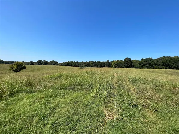 Howell Wheat Rd, Scottsville, KY 42164