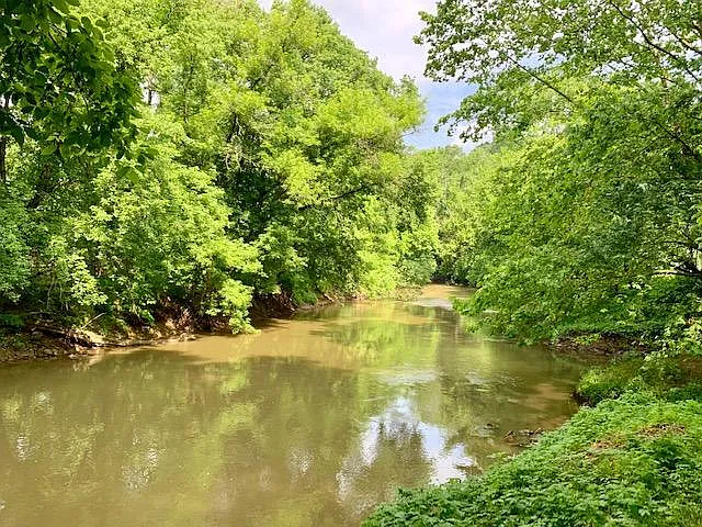220 Silver Mine Rd — Photo 3