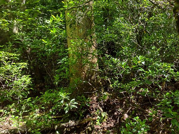 3rd image of 0 State Route 108