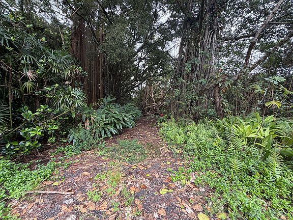 4th image of Pahoa Rd Lot 1310-A