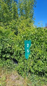 251 Kinder Ave, Greenville, CA, 95947