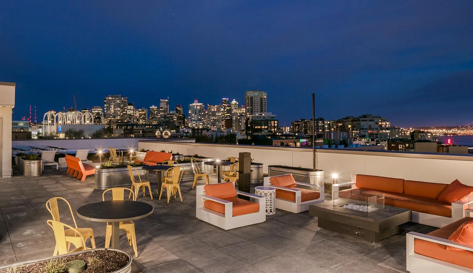 Vivid Queen Anne — Photo 2