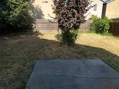 430 Robinson Ave — Photo 11