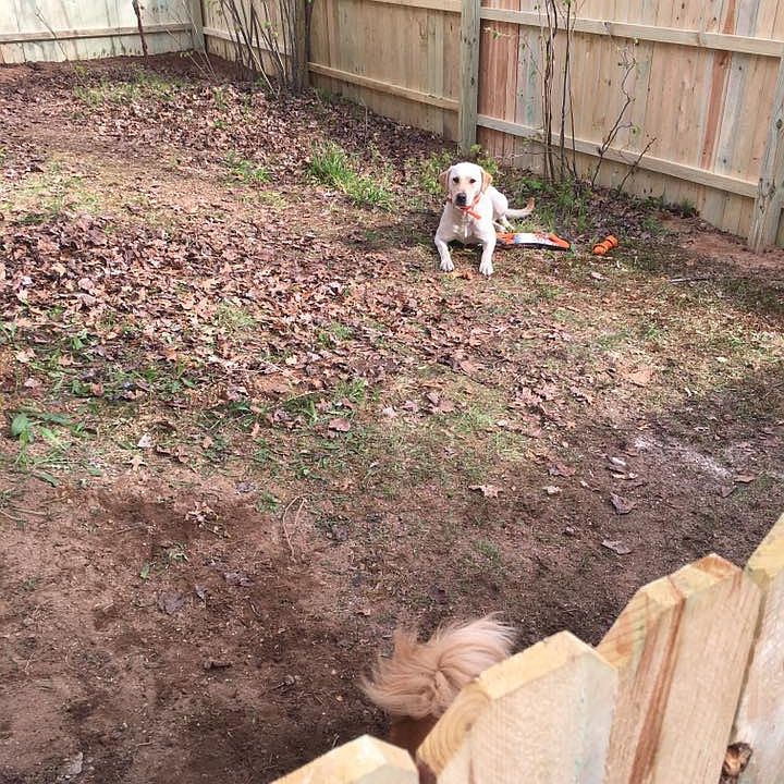 1st image of 8703 Deerwood Cir