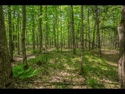 LOT 23 Bonita Point, Eagle River WI - Owner Finance Home
