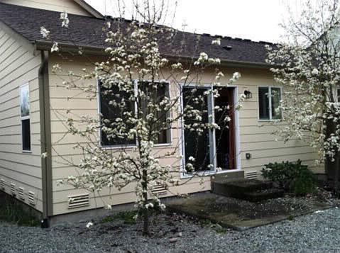 2nd image of 6237 Discovery St E