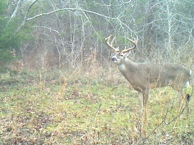 3324 NW County Road 3206, Dawson, TX, 76639